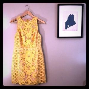 Endless Rose Yellow Lace Dress